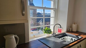 A kitchen with a window, a sink, a kettle, and a plant.