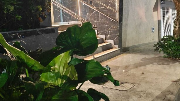 Un edificio moderno con una escalera que lleva a un nivel superior, rodeado de vegetación.