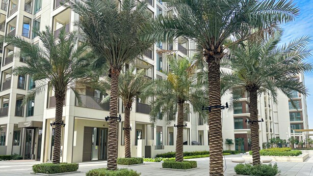 A modern building with a courtyard featuring palm trees and neatly trimmed bushes. - Creek Beach 1BR in RoseWater 3 (Dubai)