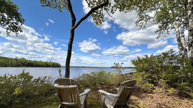 Deux fauteuils Adirondack sont placés face à un lac, avec un arbre au premier plan et un ciel dégagé.