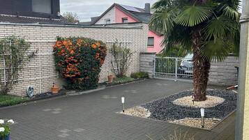 A paved courtyard with a brick wall, a palm tree, and potted plants.
