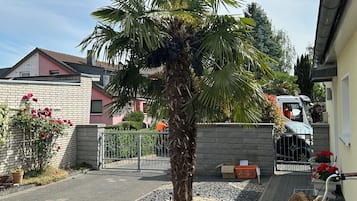 A residential area with a palm tree, a bicycle, and a parked vehicle.