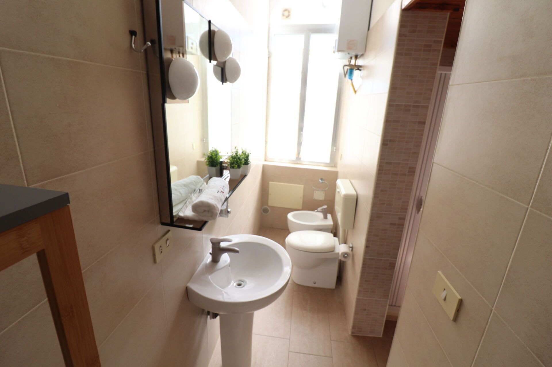 Shower, hair dryer, bidet