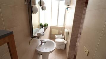 Shower, hair dryer, bidet