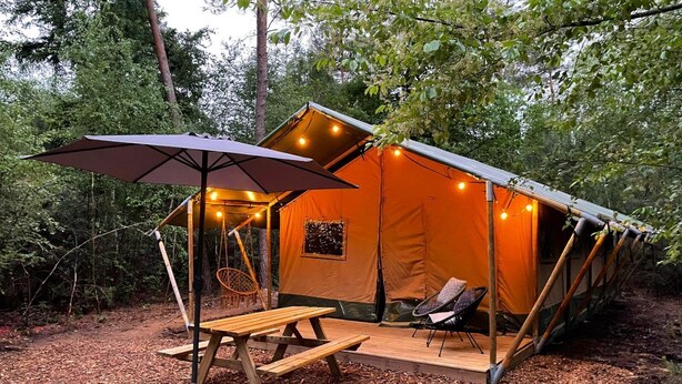 Una cabaña acogedora al aire libre con una mesa de picnic, sillas y un columpio.