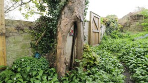 A tree with a wooden door, a stone wall, and a garden with various plants. - Highbury (Bath)