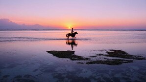 A sunset over a beach with a person riding a horse. - Sunflower Villa (Gili Trawangan)