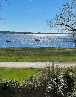 On voit clairement un lac avec des bateaux, une zone herbeuse et un arbre au premier plan.