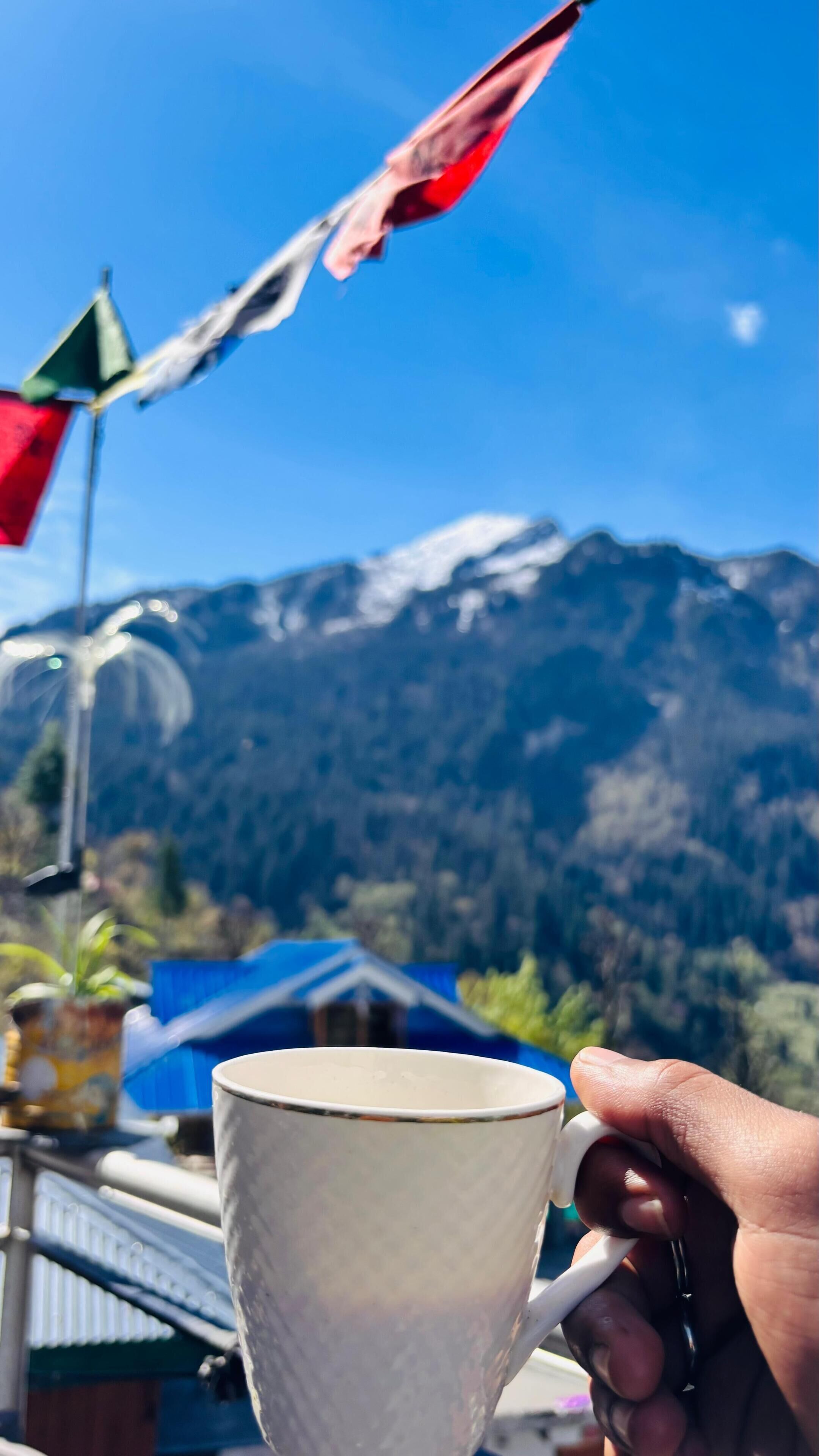 Una mano sosteniendo una taza con vistas a la montaña al fondo.