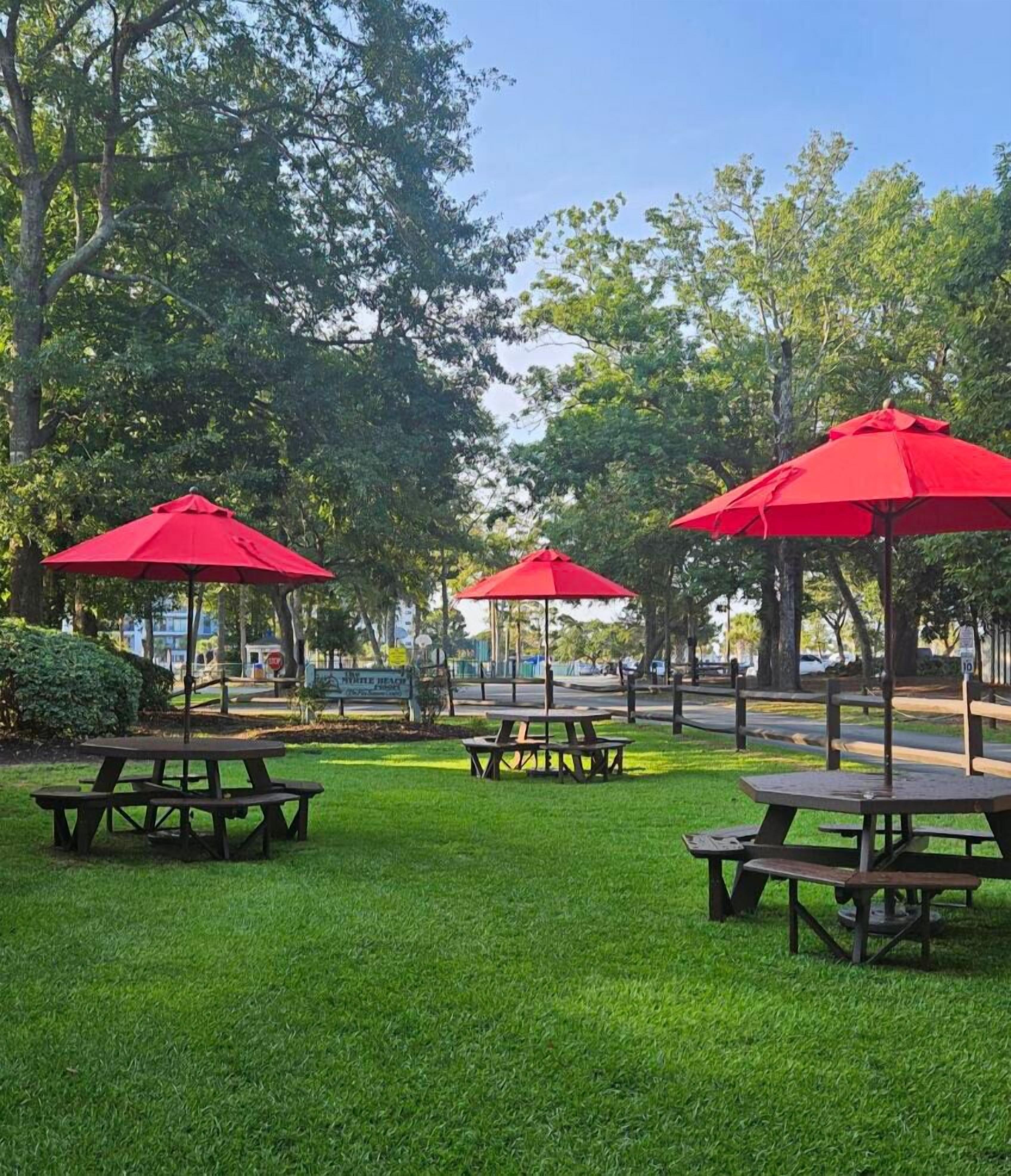 Un parc avec des tables de pique-nique et des parasols rouges.