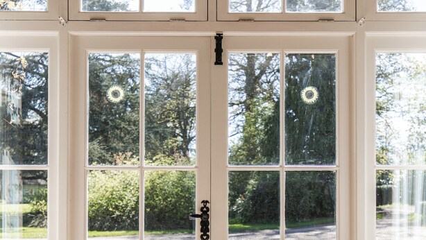Eine weiße Doppeltür mit schwarzem Griff, große Fenster und ein Holzbalken an der Decke.