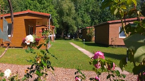 A row of wooden cabins with a well-maintained lawn and a clear sky. - Ferienhaus am Achterwasser in Lutow (Luetow)