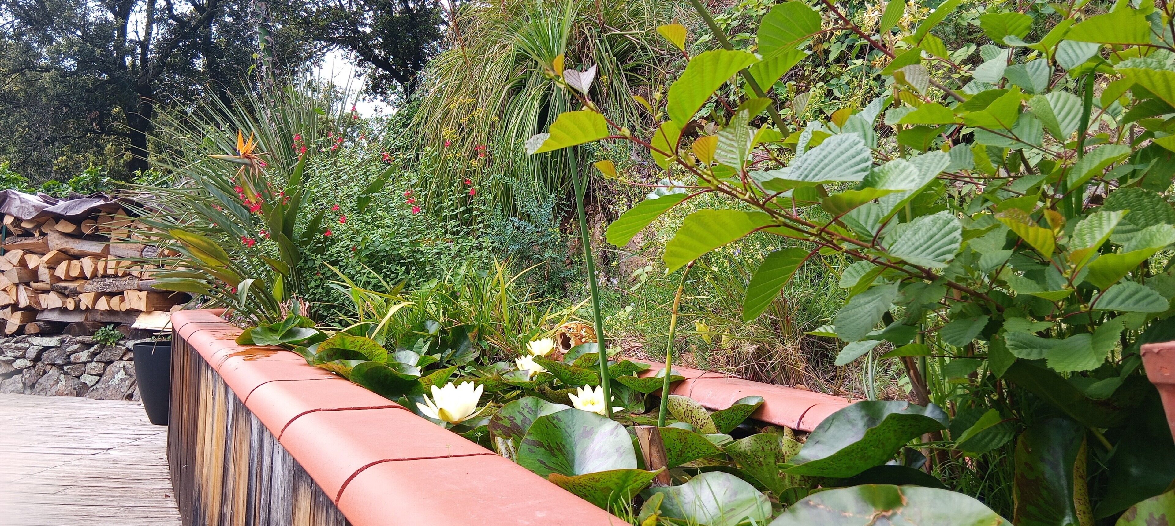 Jardines del alojamiento