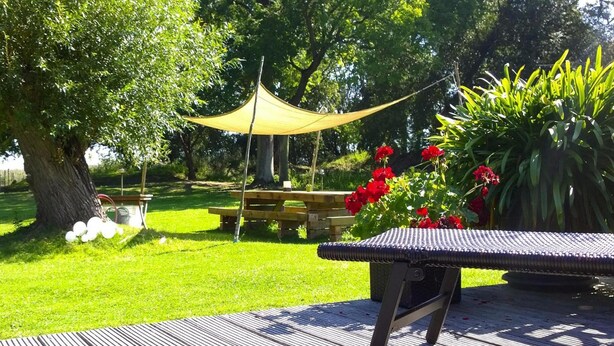 Eine Terrassenfläche mit Tisch und Stühlen, umgeben von Grünpflanzen und einem Baum.