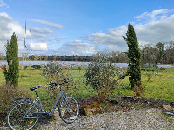 Property grounds - Farmhouse “Le Gîte de Laluby” with Jacuzzi and Air Conditioning (Arx)