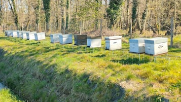 Enceinte de lâhĂ©bergement