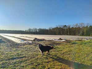 Miscellaneous - Farmhouse “Le Gîte de Laluby” with Jacuzzi and Air Conditioning (Arx)