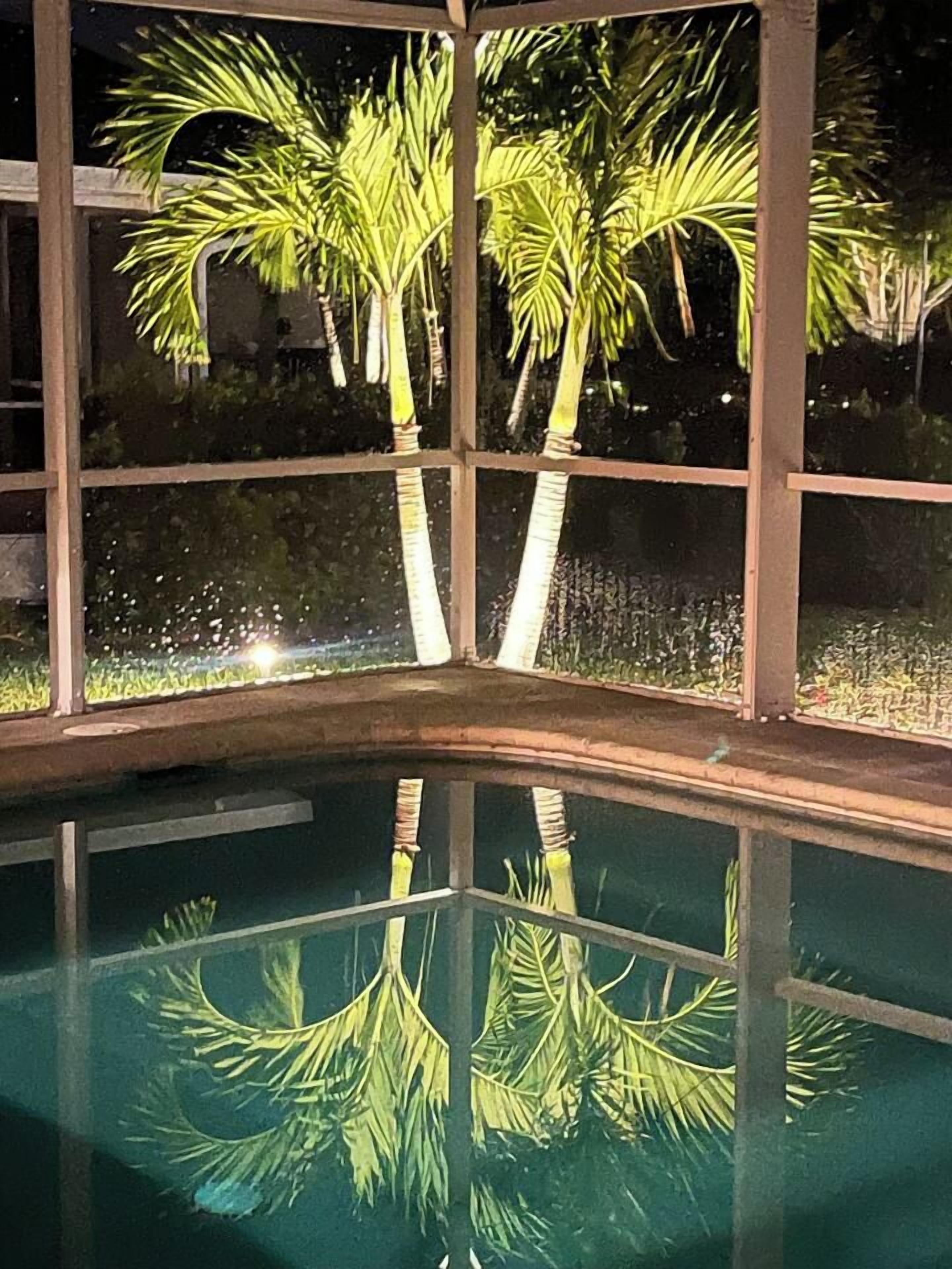 An indoor pool with clear reflections of palm trees and a dark night sky visible through large windows.