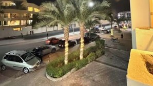 Vista nocturna de una calle con coches estacionados, palmeras y un edificio con ventanas iluminadas.