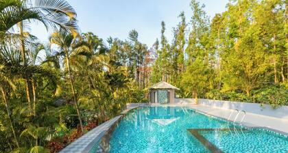 KAVA RETREAT