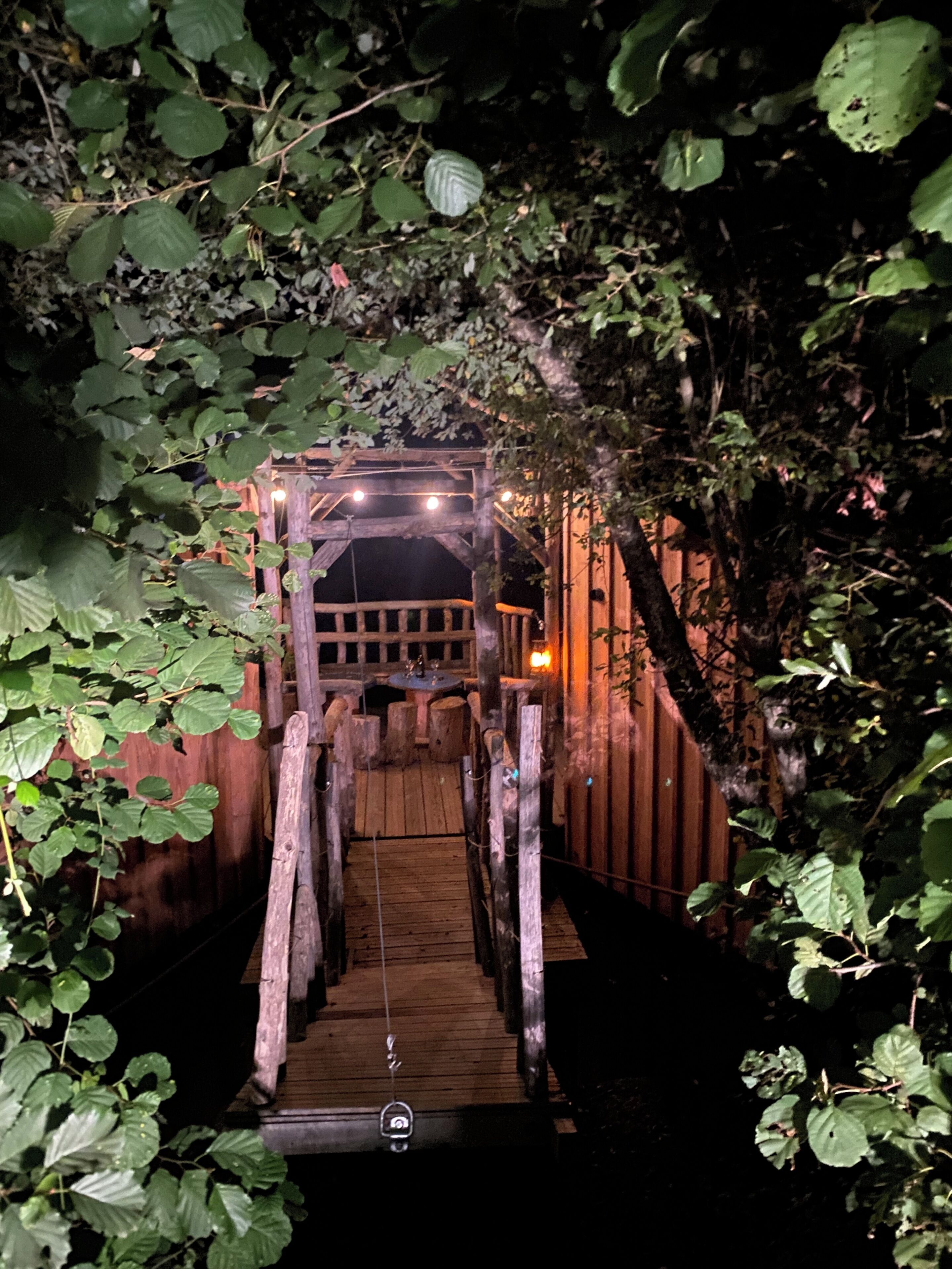 A wooden bridge with a railing, surrounded by foliage.