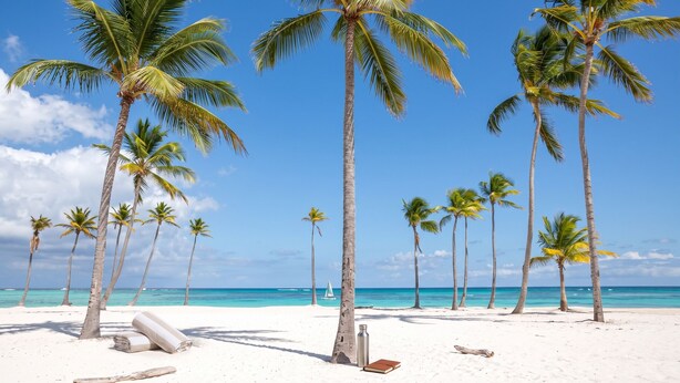 Een strand met palmbomen, een heldere lucht en een kalme zee.