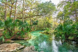A natural water body surrounded by dense foliage and rocks. - Park the car and enjoy Mount Dora! <br>Stay just a 1/2 Mile from Downtown Mount Dora and Lake Dora in our beautifully restored 1950s duplex. <br>Walk to shops & dining! Features fast WiFi, workspace, patio, free parking, and boat parking! (Mount Dora)