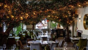 Un espace de restauration intérieur avec des tables et des chaises, un grand arbre décoré de guirlandes lumineuses et un miroir au mur.