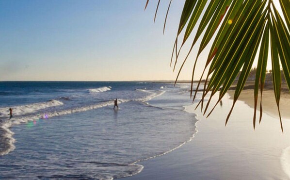 Ein Strand mit Wellen, eine Person geht spazieren und eine Palme.