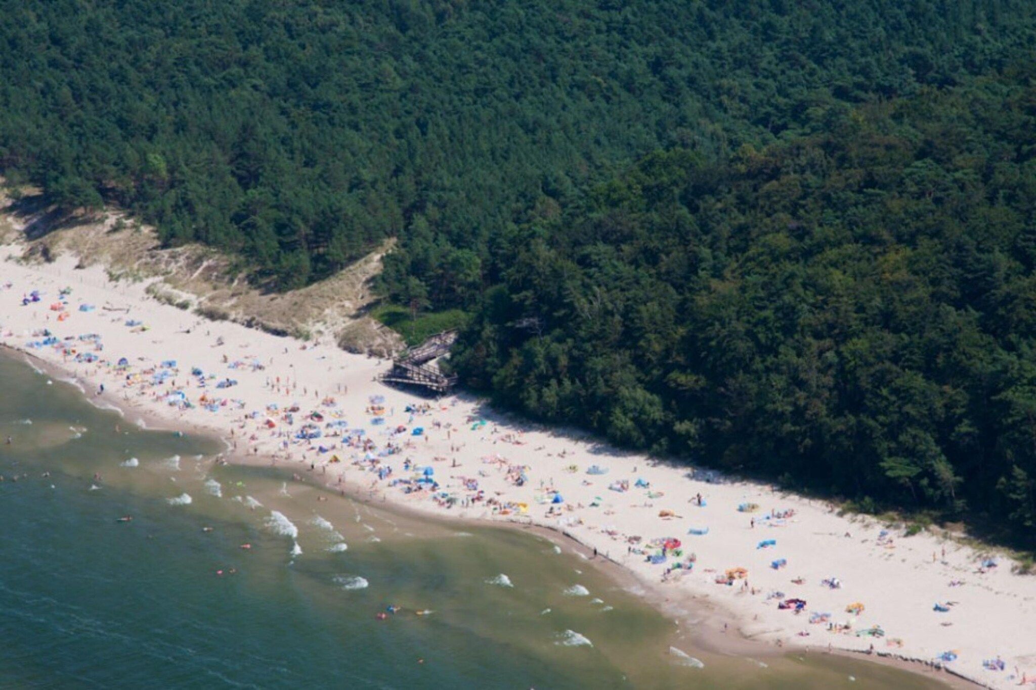 A beach with numerous umbrellas and people, surrounded by dense forest.