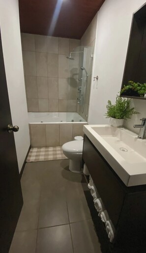 Shower, jetted bath, hair dryer, towels
