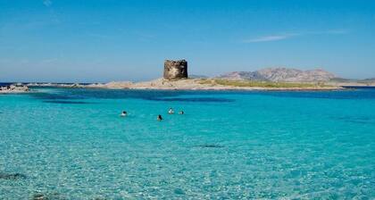 Cozy apartment in the heart of Alghero Old Town