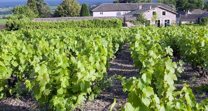 Stone vats with character - Beaujolais