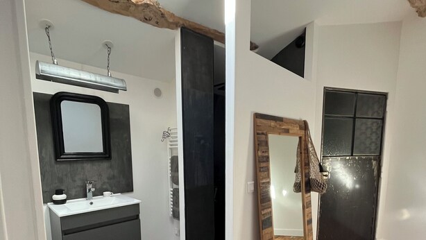 A modern bathroom with a skylight, a large mirror, a sink, and a shower. - Les Hirondelles du Marais (Riom)