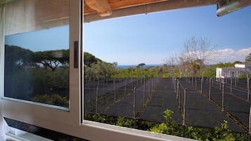 Penthouse, Partial Sea View | Interior