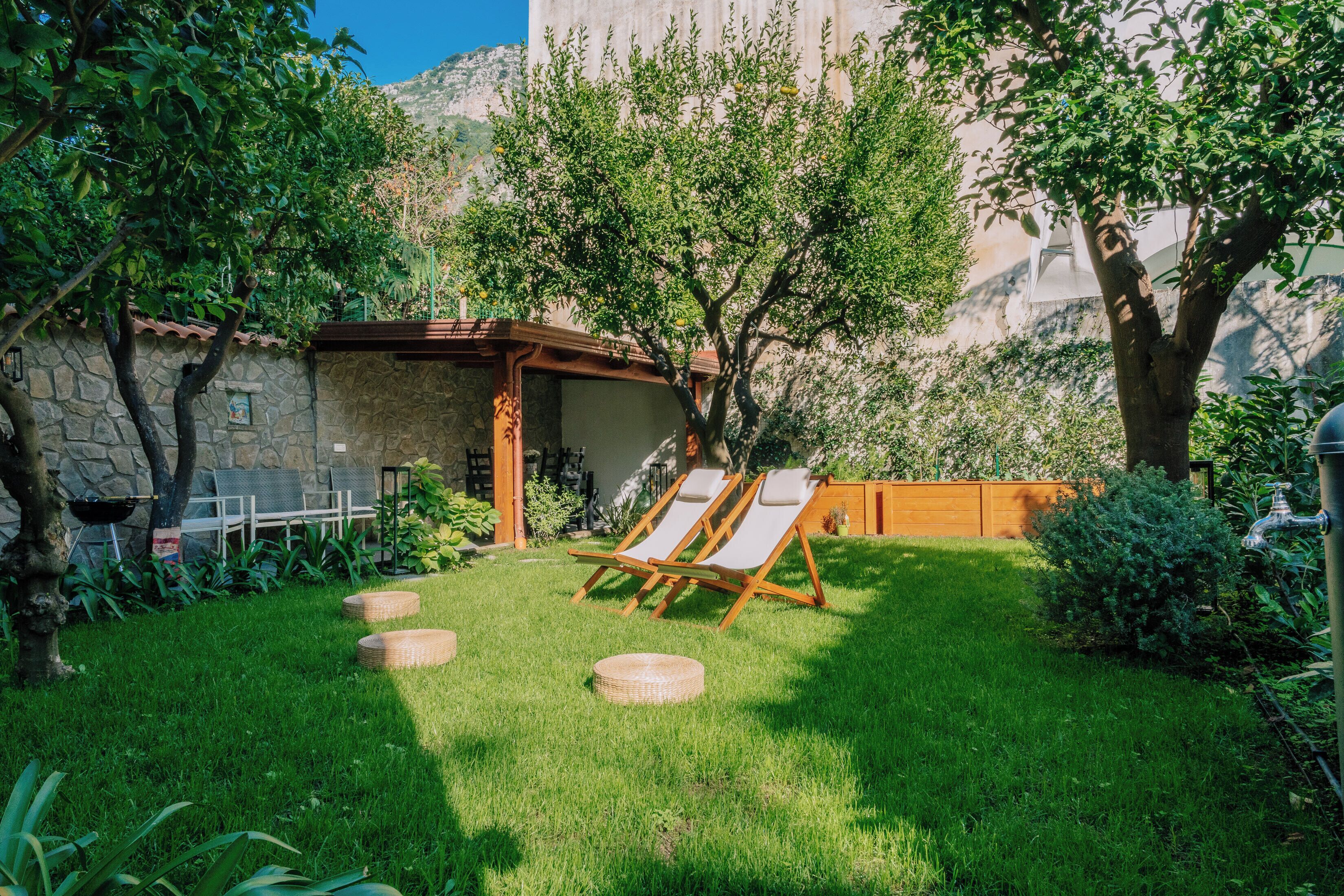 Deluxe Studio, Kitchen | Property grounds