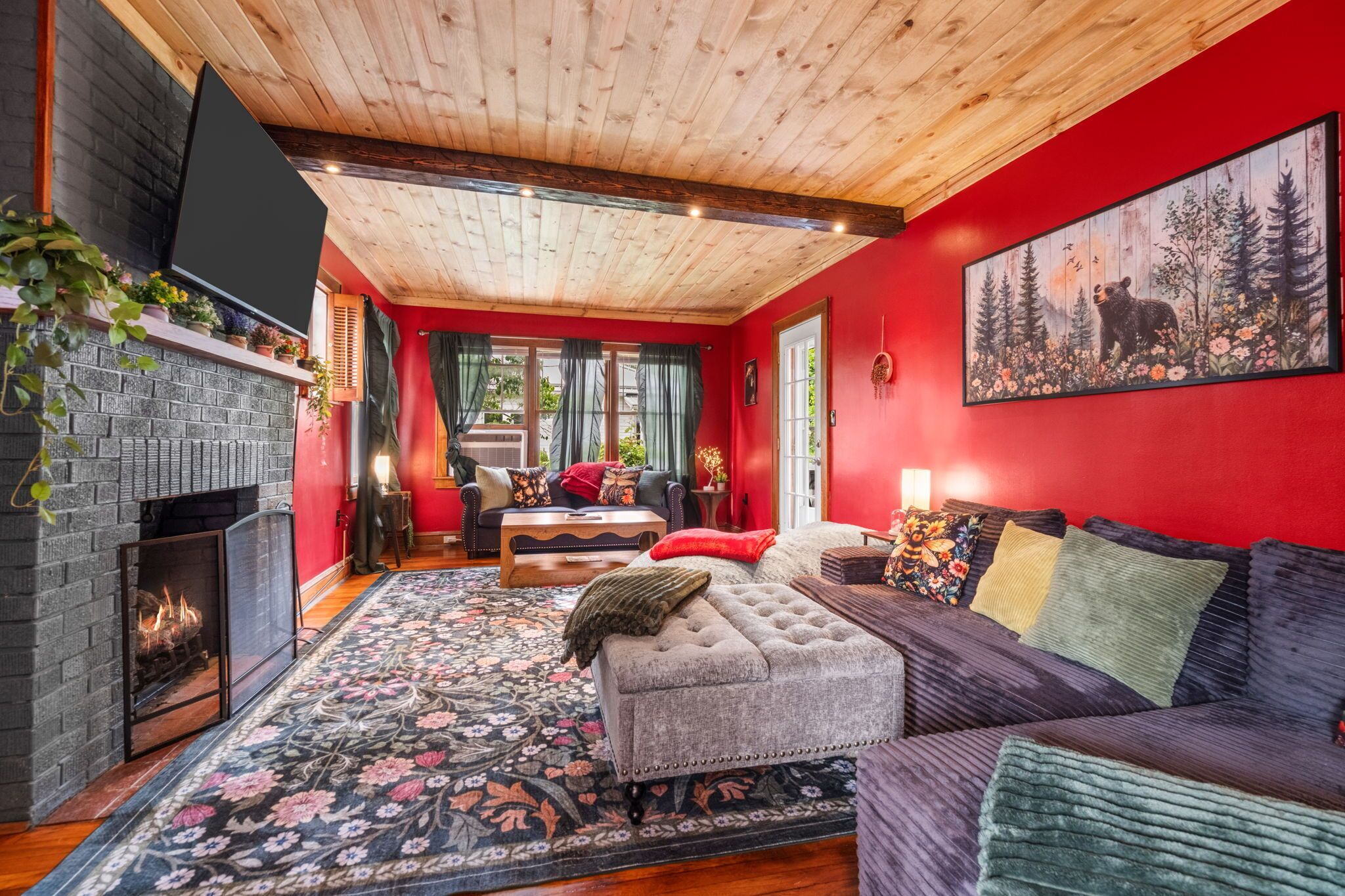 Smart TV, fireplace, video games, books