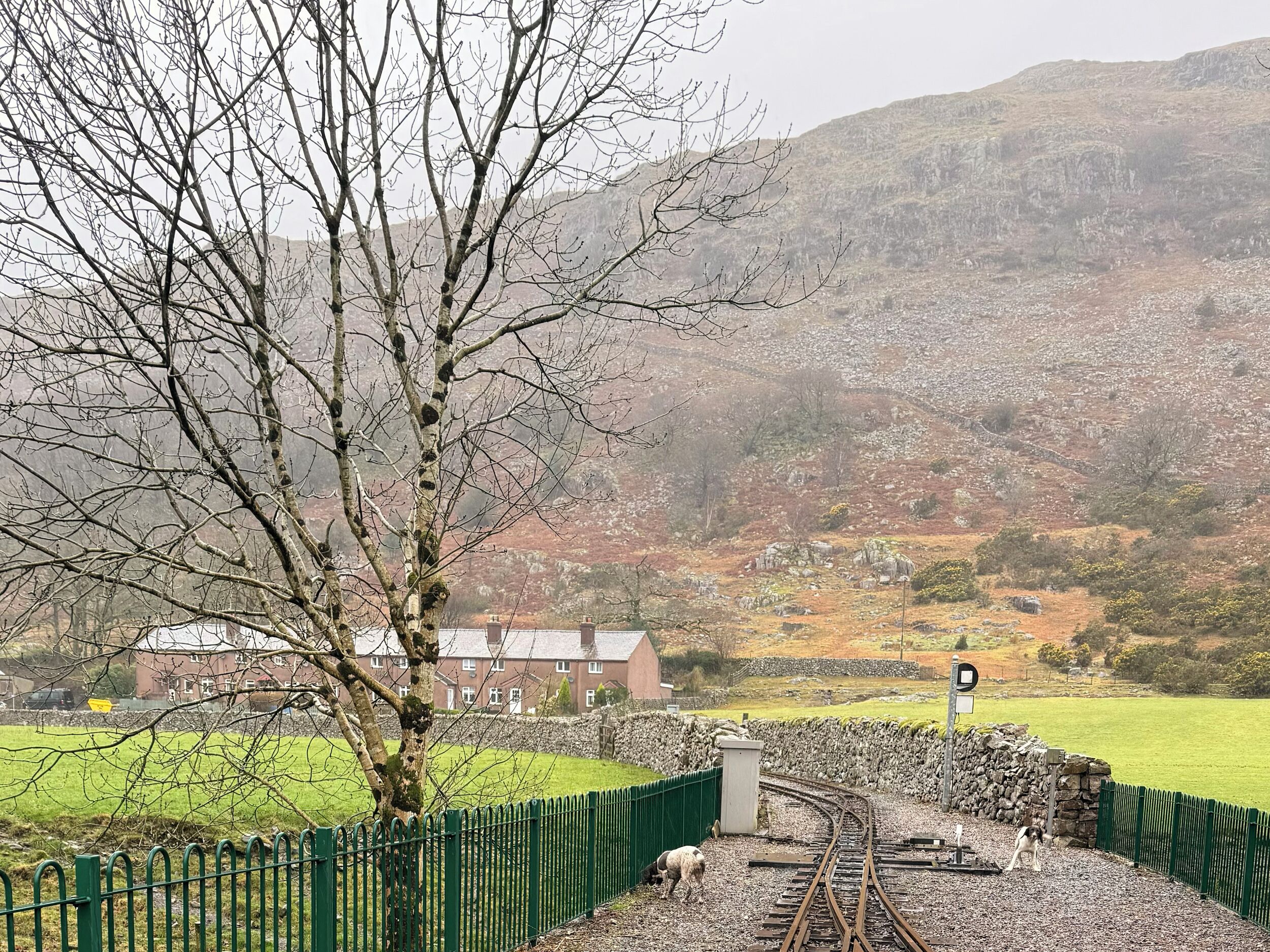 Vías de tren con una cerca verde, un muro de piedra y un edificio al fondo.