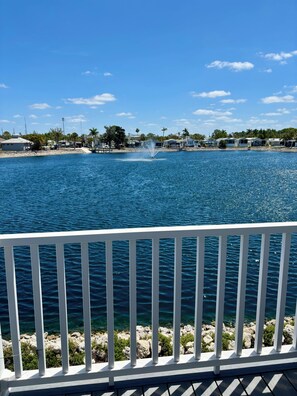 Property grounds - Central located cozy cabin with resort amenities (Naples)