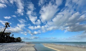 Una spiaggia con cieli sereni, palme e un mare calmo.
