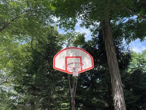 Een basketbalveld met een ring en net, omringd door bomen.