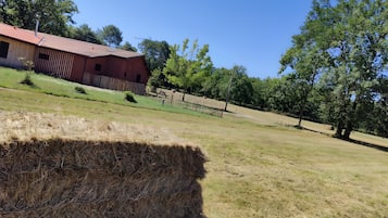 Terrein van de accommodatie