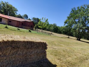 Terrein van de accommodatie
