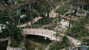 Un pont sobre una zona d'aigua en un jardí paisatjistic, amb vores de pedra i arbres.