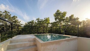 Una piscina rectangular con escalones y barandilla metálica, rodeada de árboles.