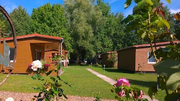 House | Property grounds