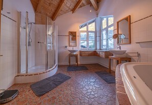Shower, towels, toilet paper