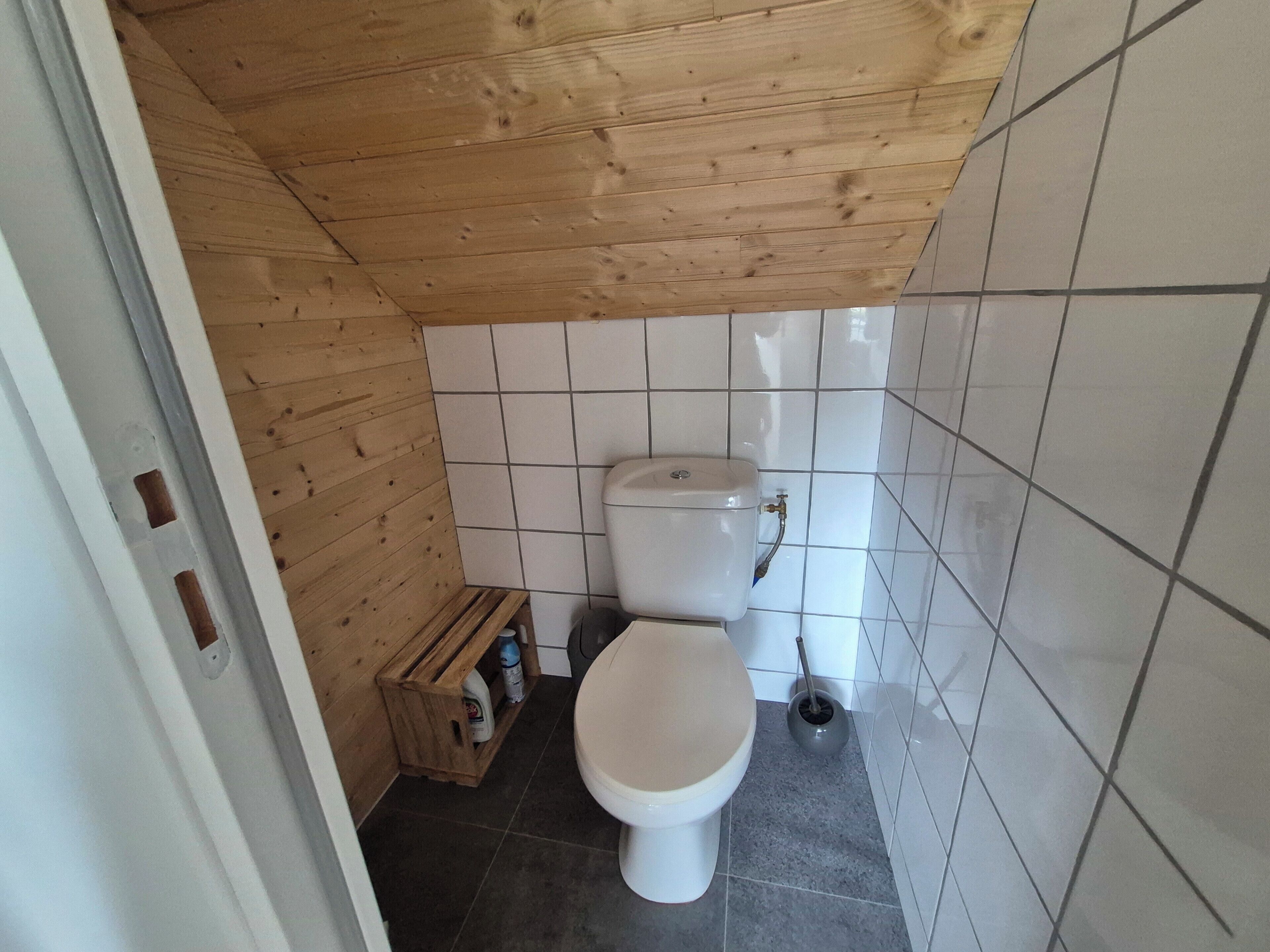 Een kleine badkamer met een houten plafond, toilet en een plank met schoonmaakmiddelen.