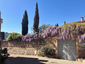 Jardines del alojamiento