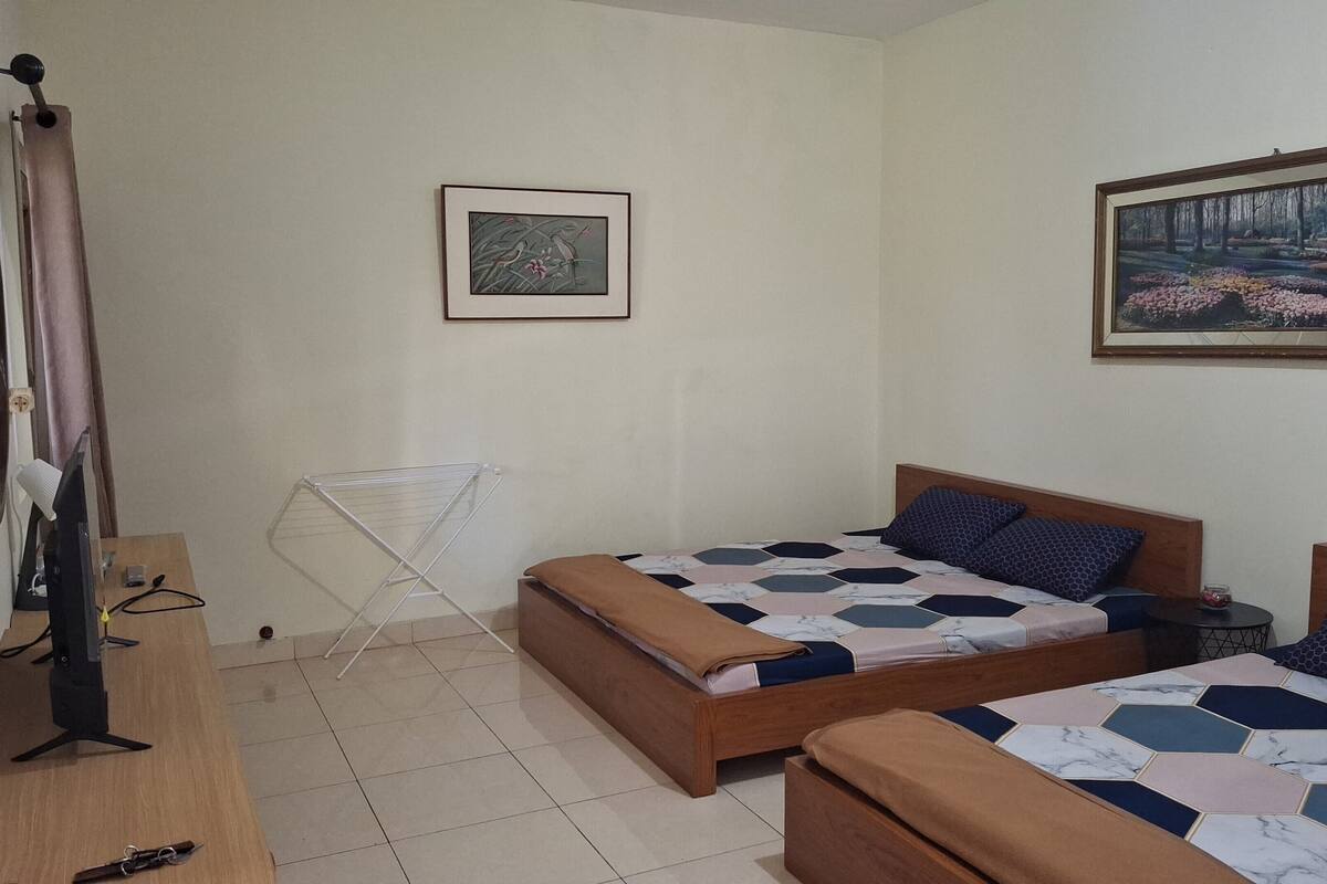 A bedroom with two beds, a drying rack, a painting, and a television.